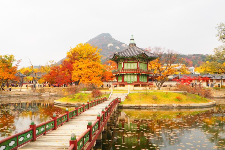 [MÙA THU HÀN QUỐC 2026] - SEOUL - NAMI - EVERLAND